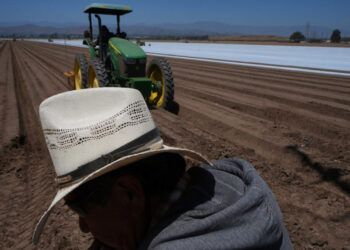 Redadas migratorias afectan a empresas y obreros en EE. UU.